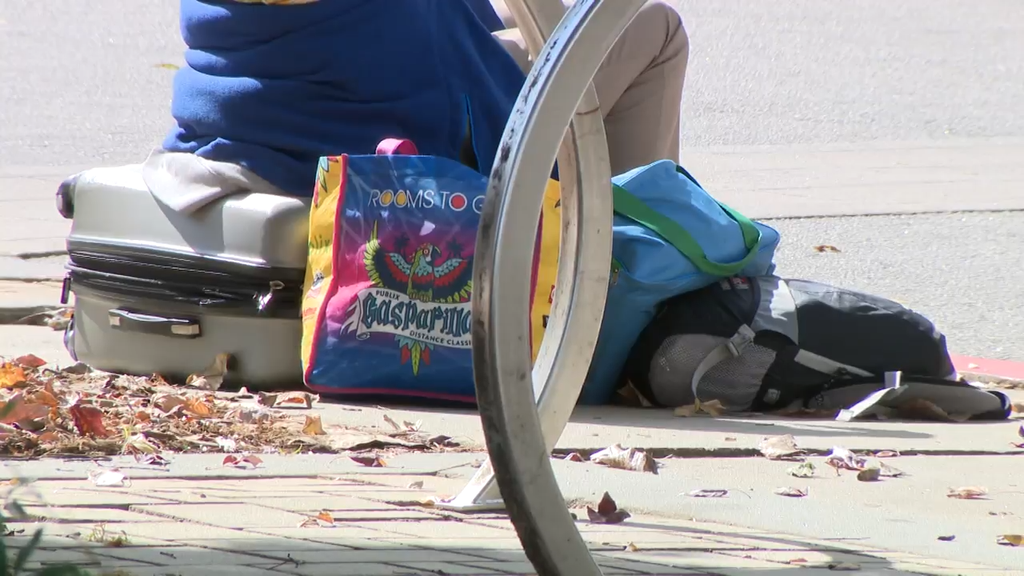DeKalb County leaders vote to make unhoused encampments illegal — Stockbridge Government news