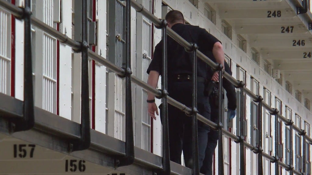 More than two dozen Georgia prisons on lockdown over security concerns following inmate fight — Stockbridge Health news